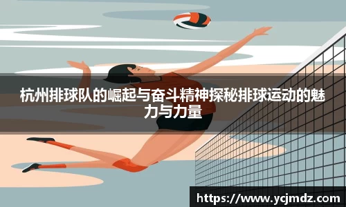 杭州排球队的崛起与奋斗精神探秘排球运动的魅力与力量