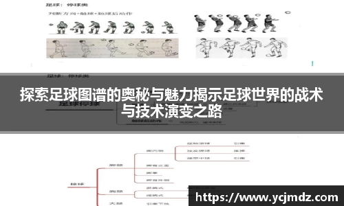 探索足球图谱的奥秘与魅力揭示足球世界的战术与技术演变之路
